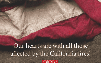 A message from the Executive Director